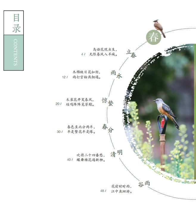 2023暑假读一本好书 广州二十四节气自然笔记 谢辅宇著 广州地区不同节气自然变化耕农事节气手作广州特产气象气候 广东科技出版社 - 图1