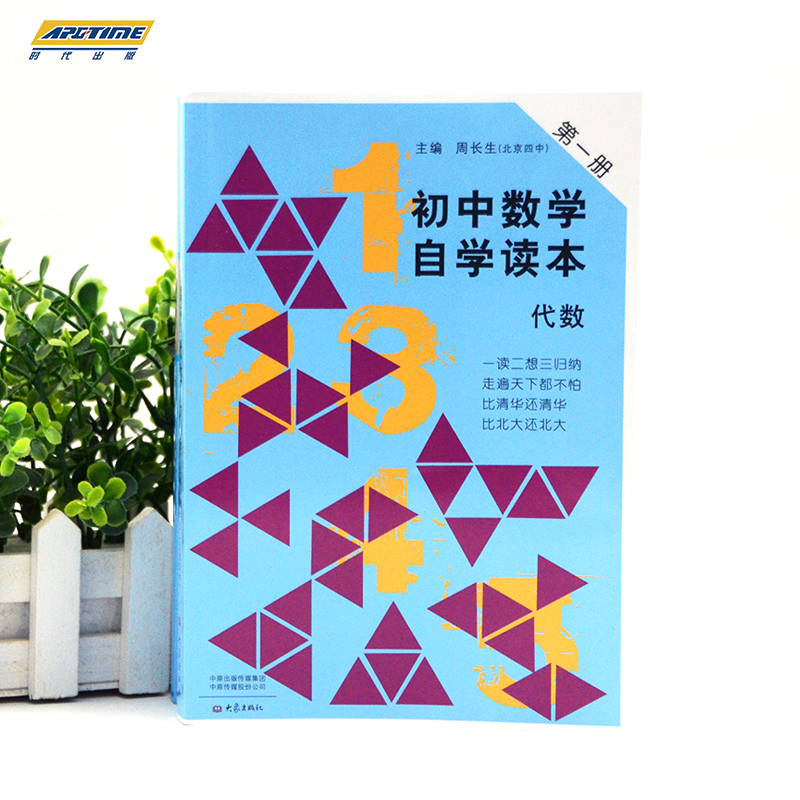 全套3本 初中数学自学读本 代数第一册+代数第二册+几何第一册 北京四中周长生编 初中几何自学读本 中学生数学教材用书大象出版社 - 图1