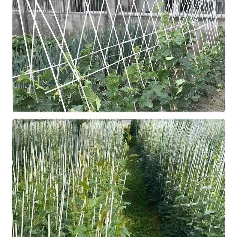 农用大小拱棚支架蔬菜种植大棚内棚保温骨架实心玻璃纤维杆tk工厂,淘宝优惠券,粉丝福利购,淘宝优惠卷