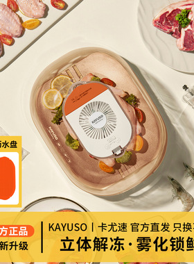家用透明穹顶循环送风解冻器
