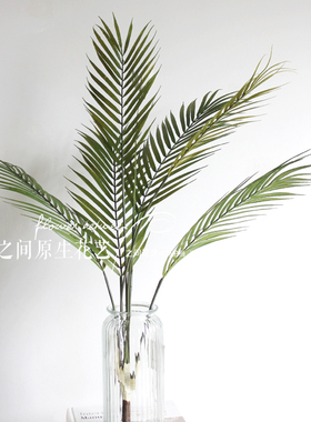 仿真造景植物摄影道具散尾葵叶