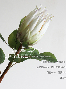 绣球高档婚庆铁线莲尤加利手捧花