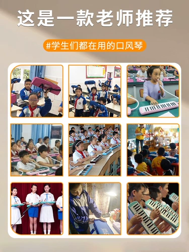 Профессиональный орган для школьников для детей и взрослых, 37 клавиш, 32 клавиш, для средней школы