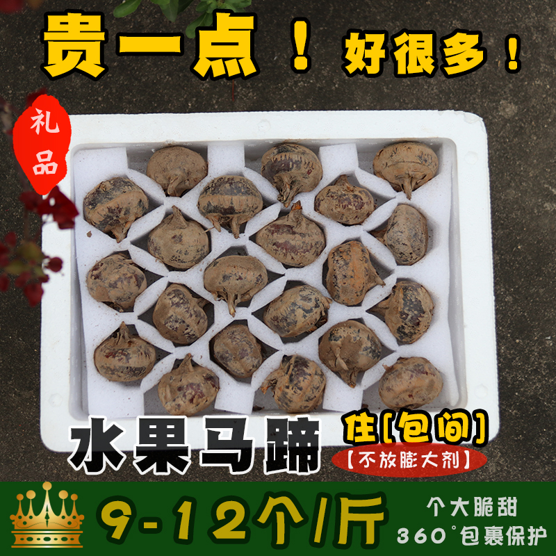 【比较贵】【精品果王】 现挖广西桂林特产新鲜清甜马蹄荸荠地梨 - 图0