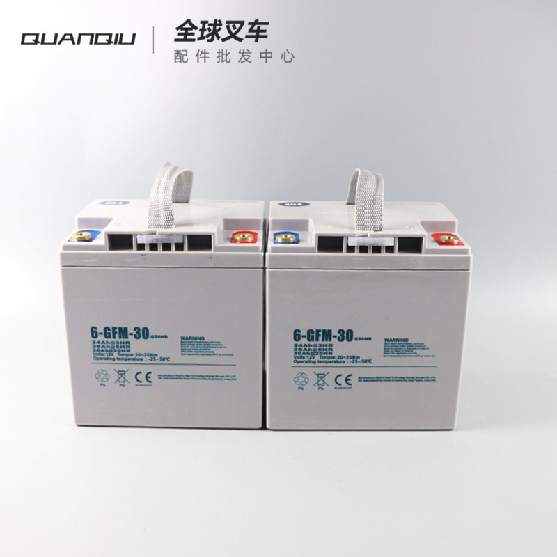 中力小金刚电动搬运车锂电池24v液压电瓶叉车配件12V65/85A可包邮 - 图2