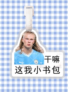 哈兰德 来图定制行李牌防丢牌登机牌旅行箱书包挂件明星周边