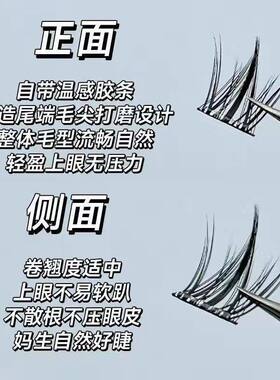 免胶100簇犬系睫毛懒人小奶狗