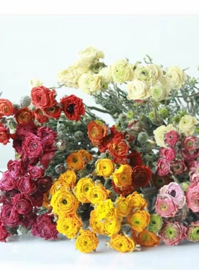 家居装饰云南干花批发价