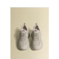 AYGA Retro Fashion Old Daddy Trend Shoes Woman Spring Autumn New Web Face Breathable 100 Hitch Sport Casual Old Daddy Shoes Woman