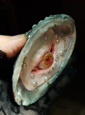银色鲍鱼贝壳眼睛泪吊坠毛衣项链