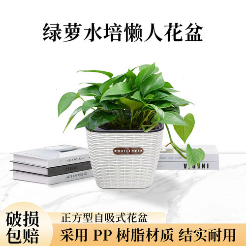 水培花盆家用树脂懒人自动吸水白掌绿萝客厅桌面花盆免浇水专用盆 - 图0