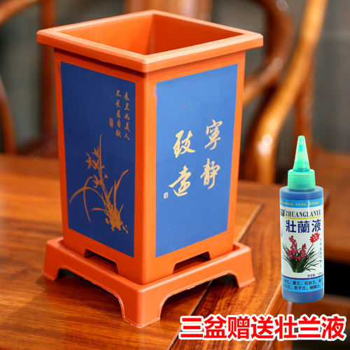兰花盆君子兰专用盆仿紫砂塑料树脂兰花专用盆花盆家用盆景花盆 - 图2