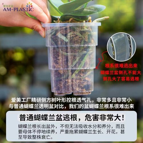 爱美透明兰花水苔蝴蝶兰专用花盆塑料透气热植石斛盆栽青山控根盆 - 图0