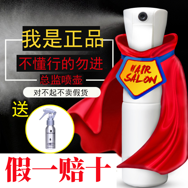 正品荷蘭進口噴霧自動高壓噴壺總監噴水壺美髮超細霧型水壺