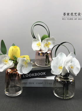 上海WULIFLOWER蝴蝶兰花