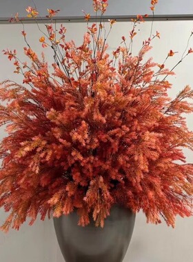 wuliflower红色万代兰大桌花
