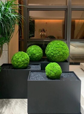 永生苔藓假山石绿植造景