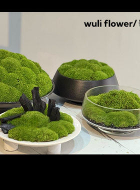 定制金属圆形永生苔藓花艺摆件