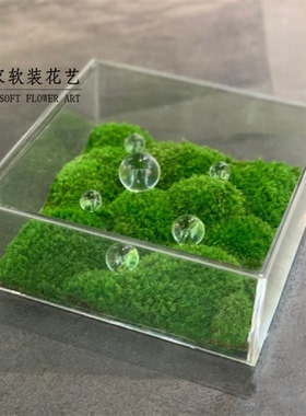 永生苔藓样板间茶室亚克力