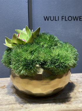 现代轻奢仿真绿色花艺套装 样板间家居茶几边几桌面假花摆件
