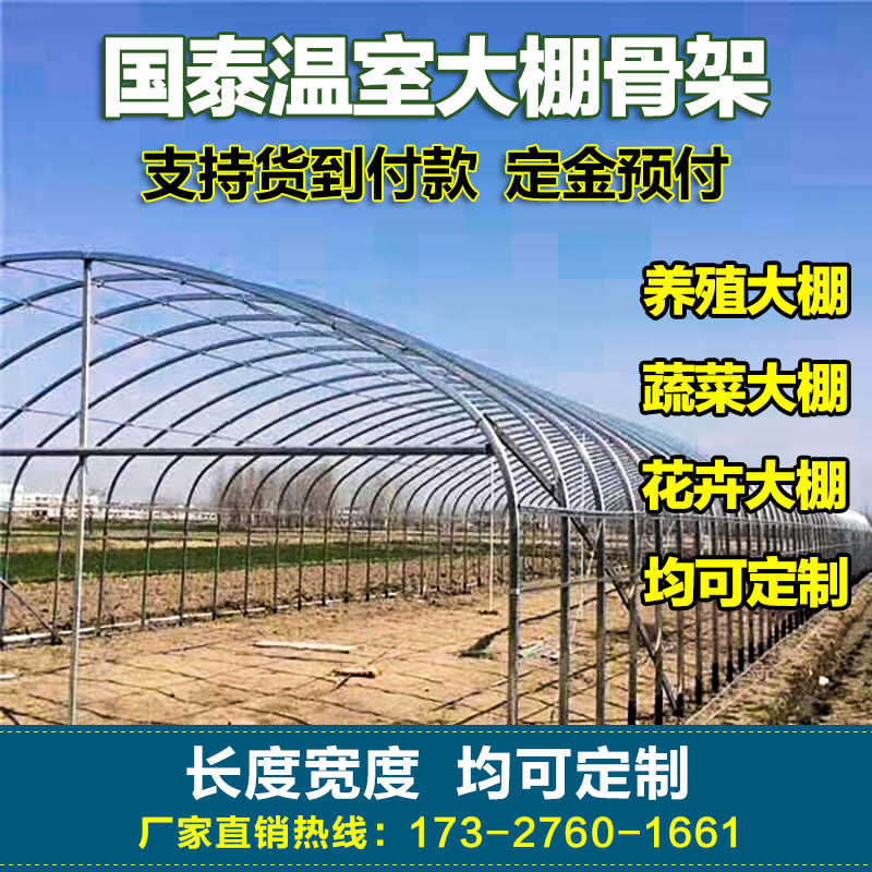 小鸡温室 新人首单立减十元 22年4月 淘宝海外