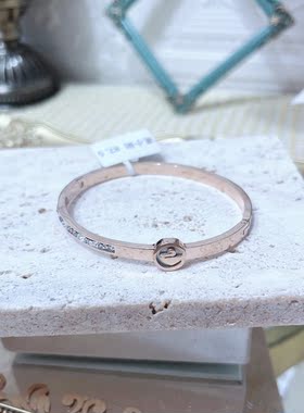 轻奢款天鹅手镯钛钢金色百搭