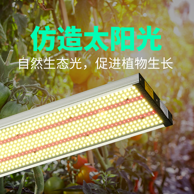 led grow light全光谱植物生长灯量子板大棚种植灯多肉花卉补光灯