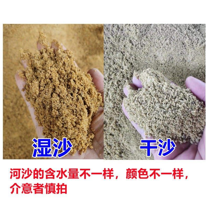 河沙天然无菌淡水河沙沙儿童娱乐仓鼠龟类孵化多用园艺多肉绿植,淘宝优惠券,粉丝福利购,淘宝优惠卷