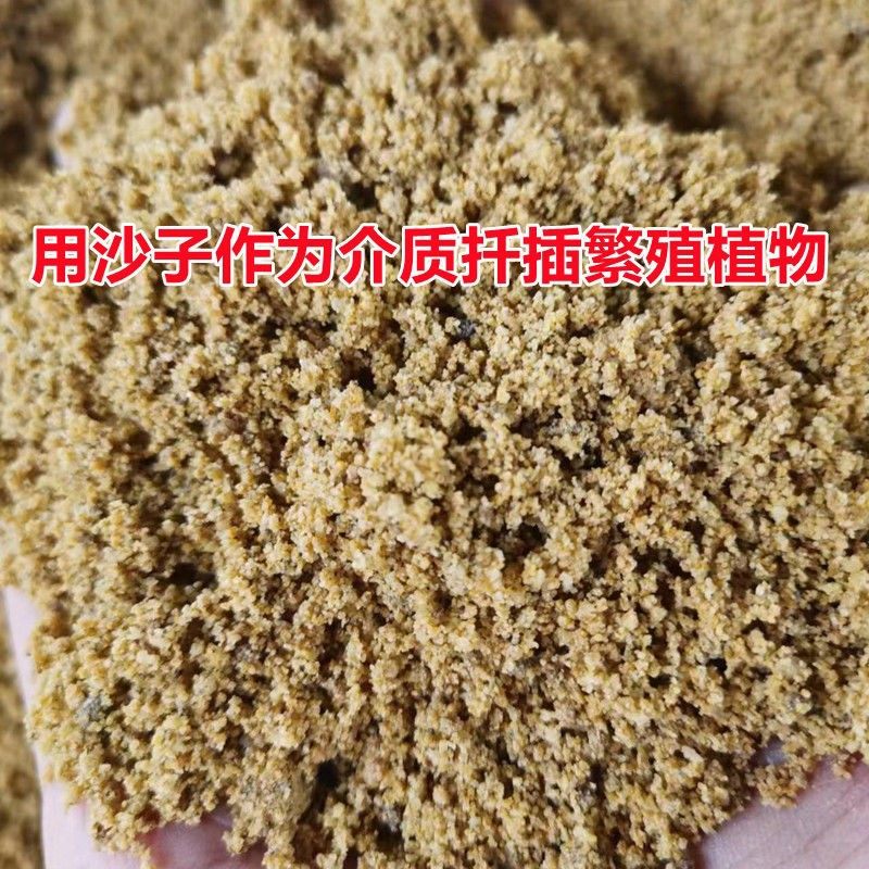 河沙天然无菌淡水河沙沙儿童娱乐仓鼠龟类孵化多用园艺多肉绿植,淘宝优惠券,粉丝福利购,淘宝优惠卷