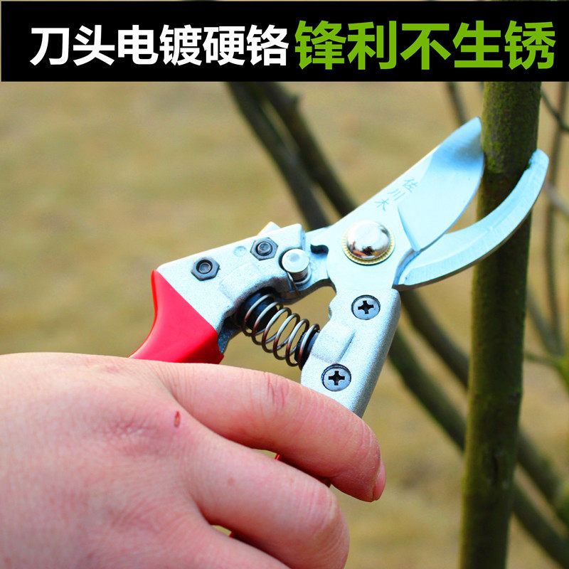果枝剪摘果剪刀省力修枝剪园艺剪刀花艺树枝粗枝剪园林果树剪刀_虎窝淘