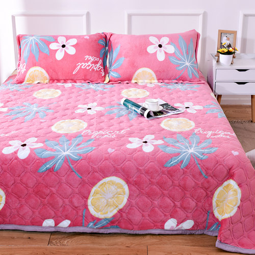 冬季加厚法兰绒毛毯加绒床单单件盖毯办公室午睡单人珊瑚绒毯子 - 图0