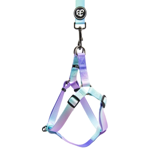 Пятнадцать домашних животных лучше бета -y -обработанные собаки -собаки гобу