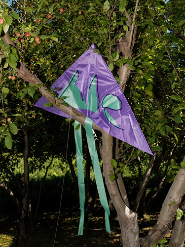 Оригинальный дизайнерский дорожный портативный воздушный змей для кемпинга, подходит для начинающих