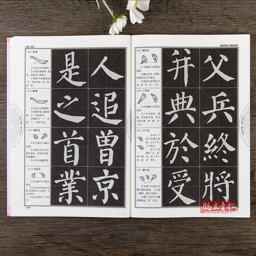 颜真卿楷书教程 颜勤礼碑学生成人书法毛笔入门教程字帖培训教材 - 图3