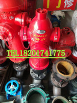 Shanghai Tube to bolt outdoor fire hydrant ground bolt SS100 65-16 DN100