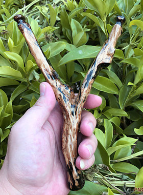 天然保真血柳文玩手工配件弹弓