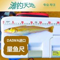 Fish scale Measuring fish size Japan imports Dawa DAIWA waterproof (beach fishing ground)