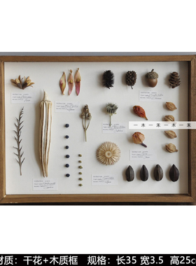 样板间儿童房植物标本软装摆件