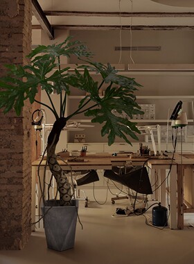 大型龙鳞春羽龟背大叶假植物盆栽