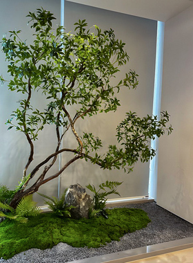 仿真绿植橱窗天井凤凰木造景