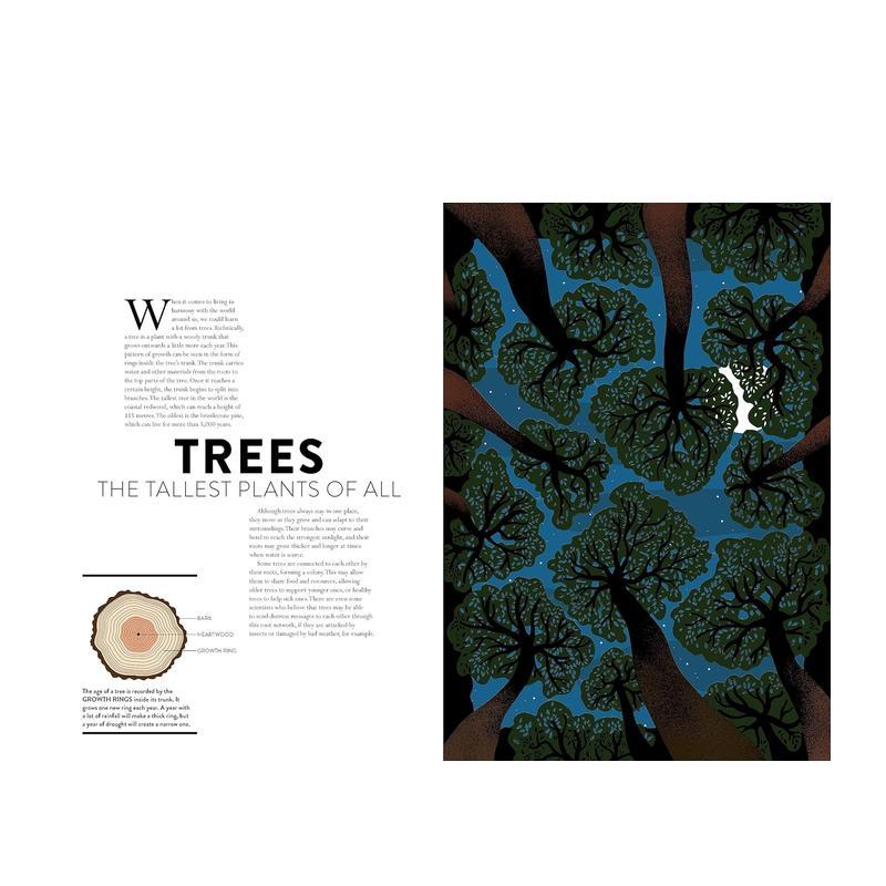 【现货】植物世界Plant Life英文儿童绘本动物生态环保3-6岁精装Helene Druvert Juliette Einhorn进口原版书Thames & Hudson书籍 - 图0