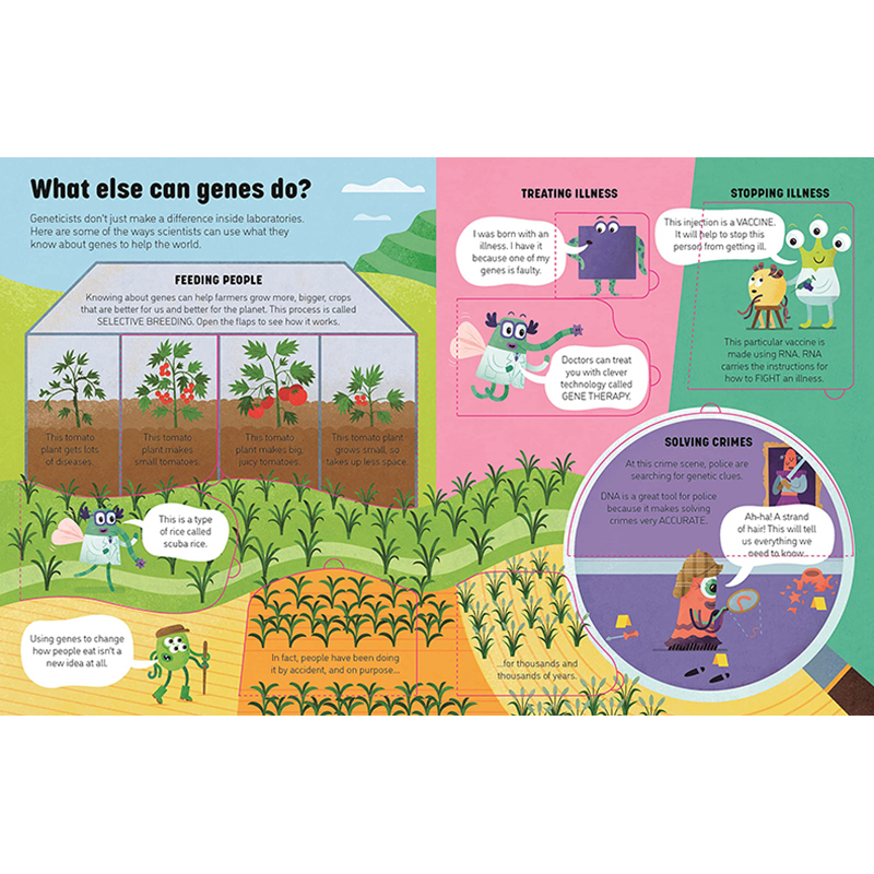 【预售】【See Inside】Genes & DNA，【翻翻书】基因及DNA 英文原版图书籍进口正版 Laura Cowan and Neil Clark 儿童趣味 - 图2