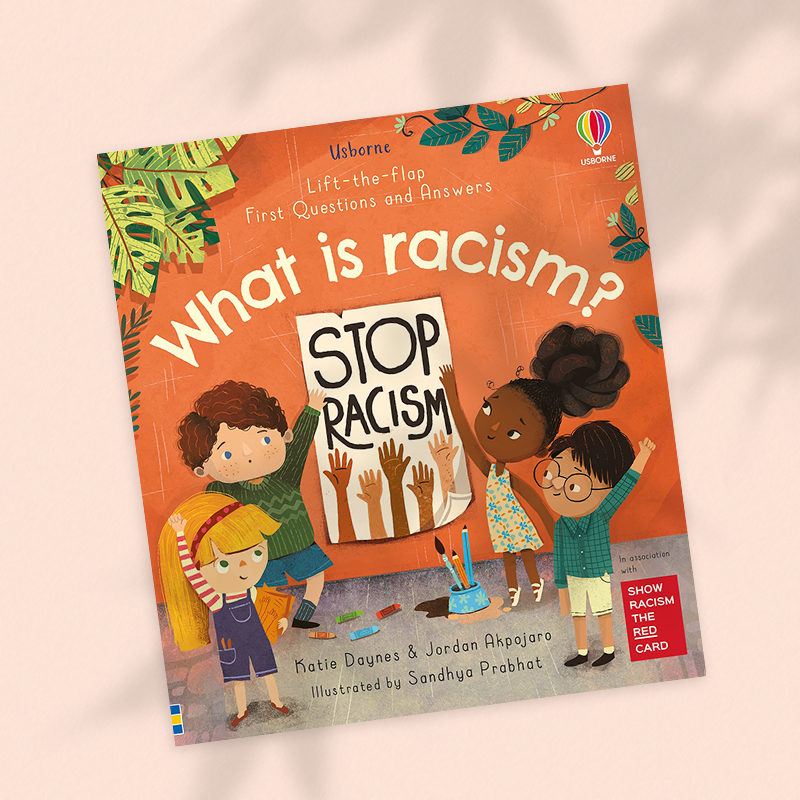 【现货】【Lift-the-Flap】什么是种族歧视What is Racism? 翻翻问答书 4-8岁儿童树立正确观念故事启蒙绘本纸板书 英文原版 - 图0