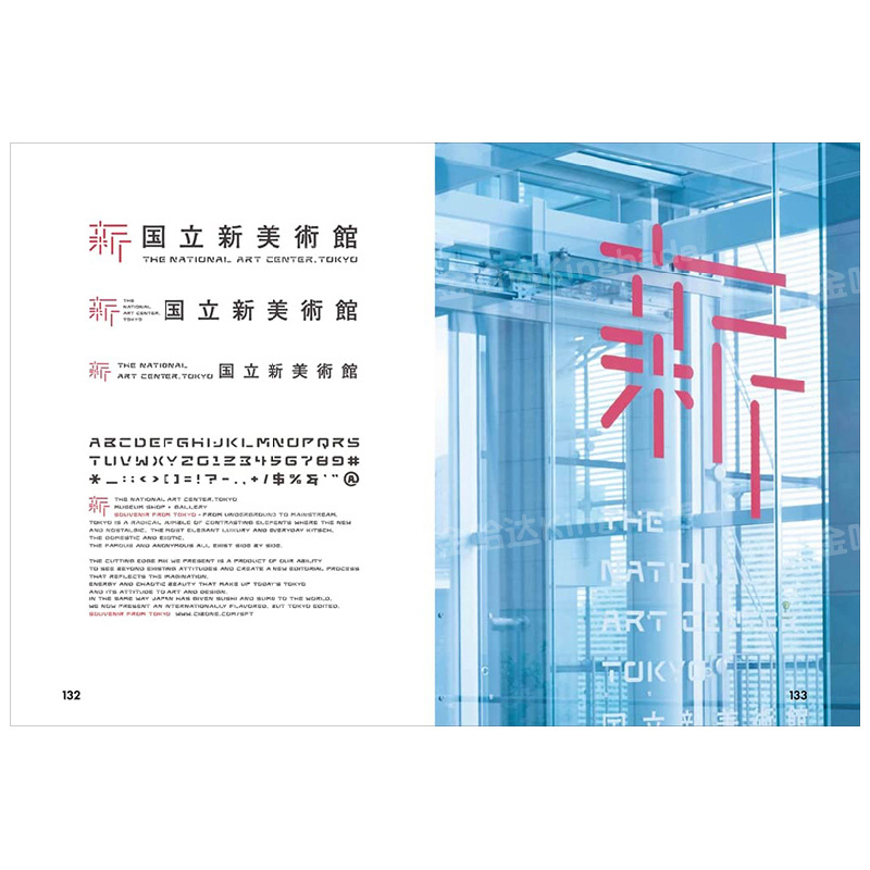 【现货】【Fire Fly 萤火虫系列】Re-imagine Bizarre Type 变形体-重新想象变形字体 善本英文图书 SendPoints出版 - 图2