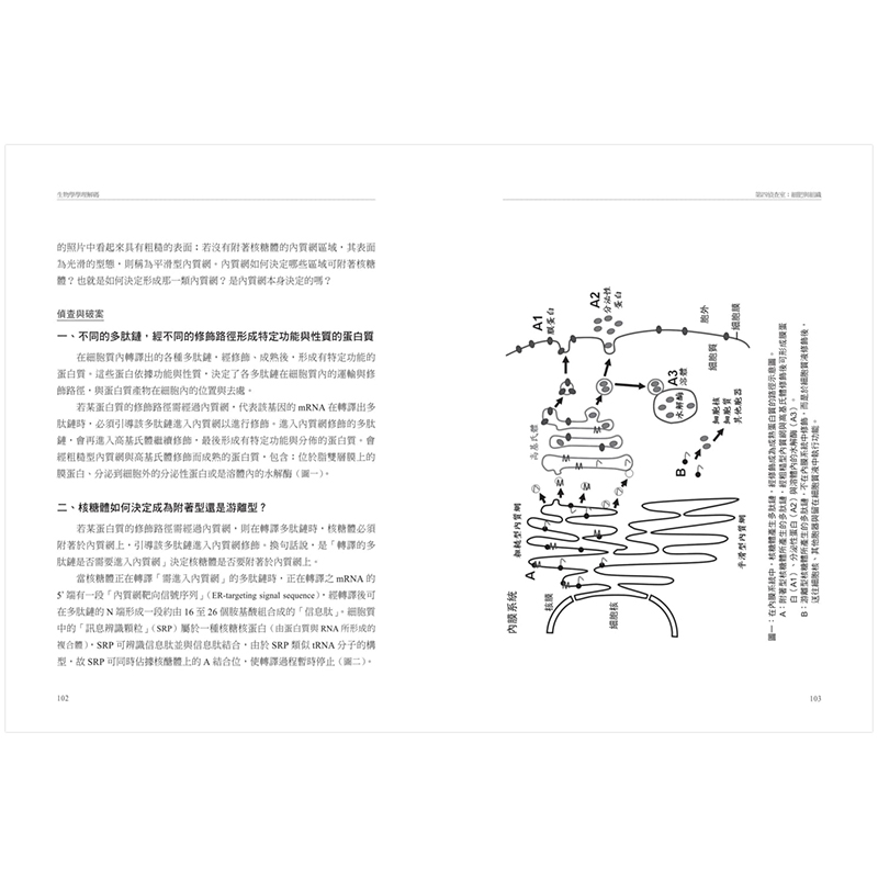 【预售】生物学学理译码：从研究史、生态、生理到分子生物完整剖析39个高中生物学疑难案例港台原版-图0