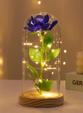 情人节礼物花GirlRoseGift