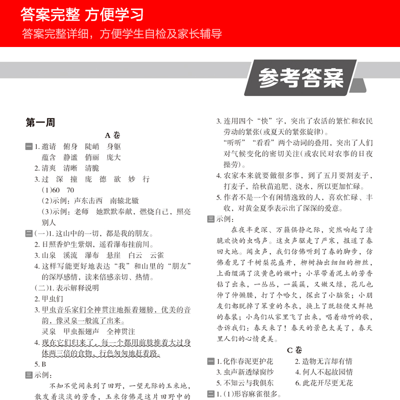 小学语文分级阅读测评ABC卷  一二三四五六年级A版 小学语文 1-6年级教辅书籍 阅读理解能力提升训练测试卷 及时阅读 分级检测