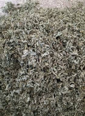 正宗陕西汉中野生艾叶5斤三年陈艾叶端午艾草做艾绒无杂无杆艾叶