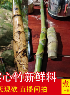 实心竹玉竹特价手把毛料 一物一拍 实心竹特价实心玉竹毛料水煮料