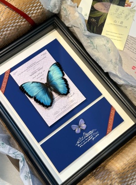 蝶标本原创相框小众DIY创意摆台
